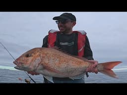 Small Boat BIG Fish. | Kapiti Boat Fishing Feb 2025