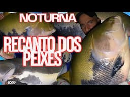 NOTURNA COM PEIXES GIGANTES NO RECANTO DOS PEIXES DE PIRA - Fishingtur 1069