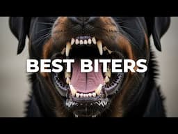 What Makes THESE Canine Biters So Effective?