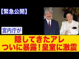 【海外の反応】秋篠宮さま“もう一人の父親”説に宮内庁沈黙──皇位継承の根幹が揺らぐ？【ゆっくり解説】