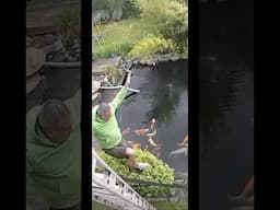 How Did This Happend??! 🫣🐟