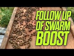 Follow Up of Swarm Boost