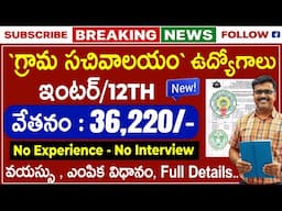 🚨 12th Pass వాళ్లకి సచివాలయ అసిస్టెంట్ జాబ్స్ || Latest Jobs In Telugu || Central Govt Jobs Search