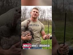 Worlds Biggest Broadhead Vs Pet Turkey  🤯 #archery #turkey #slowmotion #broadhead #beastbroadheads