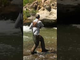 Fishing waterfalls 🤩 Trout live in beautiful places! #flyfishing #codebreakerangler