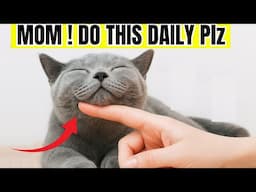 20 Things Your Cats Love and Only 1% of Owners Actually Do This