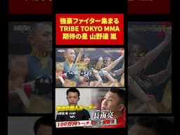 100万円トーナメント覇者山野邊#THEKO#格闘技#knockoutkb#キックボクシング