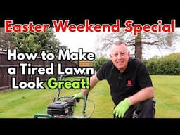 Bring Your Lawn Back to Life