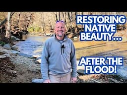 Incredible Native Plant Comeback in NC Storm-Struck Park!
