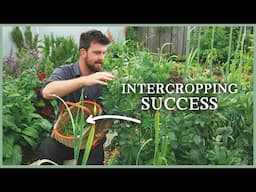 Planting Trick for Small Spaces, Rambling Roses & More Plantings | The Kitchen Garden Ep7