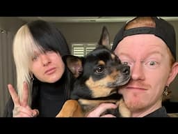LIVE Sunday Q&A hangout!
