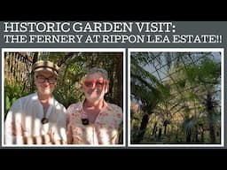 Historic Garden Visit: the fernery at Rippon Lee Estate!