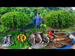 Buhay Probinsya Pag Luluto Ng Gulay Na Pako At Pritong Tilapia | Binatang Pinoy
