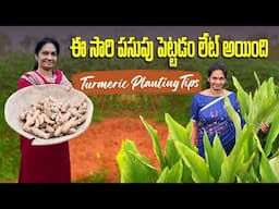 పసుపు పెంచటానికి ఇవి తెలుసుకోవాలి /Grow Turmeric easily. @MADGARDENER  #gardening  #garden  #farm