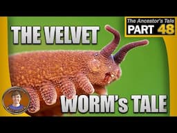 The Velvet Worm's Tale