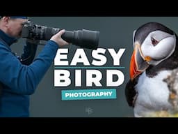 The Easiest Way To Get Good Bird Photography