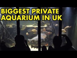 Largest Private Aquarium in UK