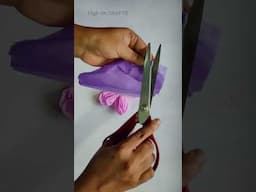 #artandcraft  #diyprojects #aaseetadevinavvula