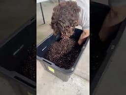 Make Your Own Soil Blocking Mix – Easy & Effective!