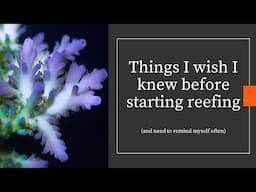 Things I Wish I Knew Before Starting Reefing