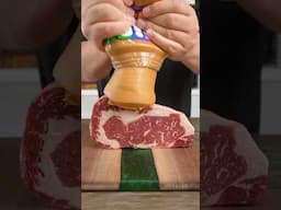 I made a miSTEAK!
