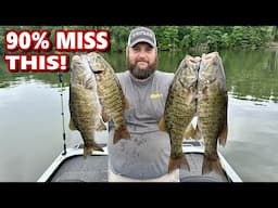 This Bait Unlocks a Pattern 90% of Anglers Never Notice