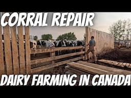 Crop Update and Corral Repair