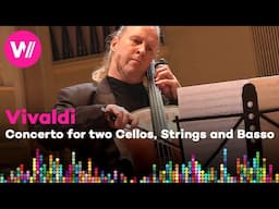 Vivaldi - Concerto for two Cellos, Strings and Basso Continuo | Vivacello Festival