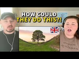 Americans React: Sycamore Gap Tree — The Night They Cut It Down