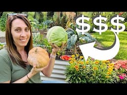 Top 10 Money Saving Vegetables to Grow in Your Backyard