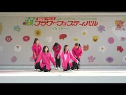 ⑦Dream Star  フラワーフェスティバル2025
