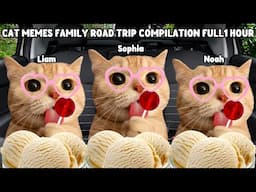 Cat Memes FAMILY ROADTRIP COMPILATION FULL 1 HOUR