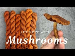 Cortinarius Dye: A Step-By-Step Guide to Create Vibrant Color
