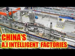 Chinese Automated Intelligent Factories are so Cool