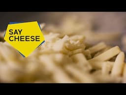 Creating The Perfect Plant-Based Cheese With Science