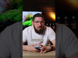 Is it true, Josh and Luca?🤨 #ad