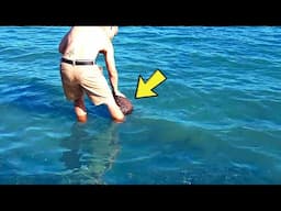Man Goes For A Swim – Suddenly, Something Grabs His Foot And Leaves Him SCREAMING!