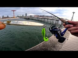 Fluke Fishing NYC Coney Island