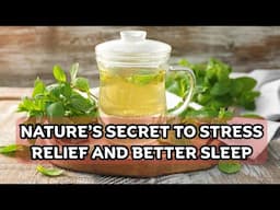 Lemon Balm Benefits and Uses / Earth's Medicine