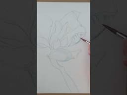 Are You Blending WATERCOLOR Pencils Correctly?