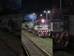 Ferrosur con cerealero de FEPSA. 29/3/25  #argentina #trenroca #lineagralroca #trenesargentinos