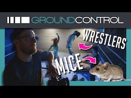 Pro Wrestling & Mice