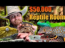The Last Reptile Room Tour