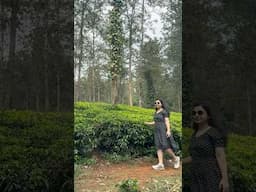 Mini Vlog: Day-3 Wayanad Bahut Beautiful Hai 😍 | Exploring the Scenic Beauty of Kerala