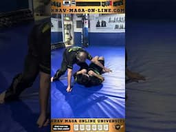 Bjj Drills Armbar