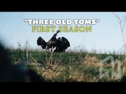 2025 Illinois spring turkey hunt!