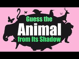 Guess the Animal by Its Shadow! | Animal Shadows Quiz for Kids