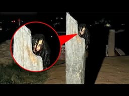 15 Scary Woods Encounters That’ll Keep You Out of the Forest