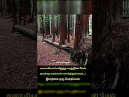 Motivational status | tamil motivation video | Tamil motivation whatsapp status #motivation  #tamil