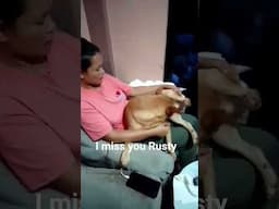 I miss You Rusty #philippines #dog #pets #memories